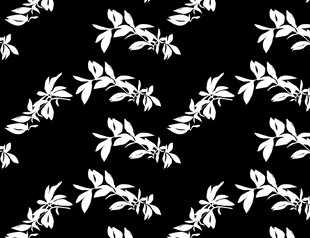 黑白花卉图案背景