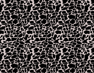 黑白豹纹纹理图案