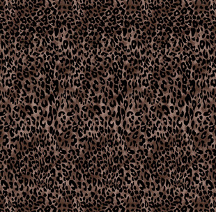 豹纹纹理图案
