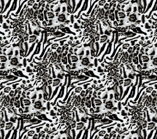 黑白动物纹理图案