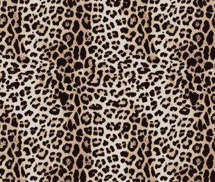 豹纹图案纹理背景
