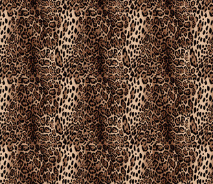 豹纹图案纹理背景图