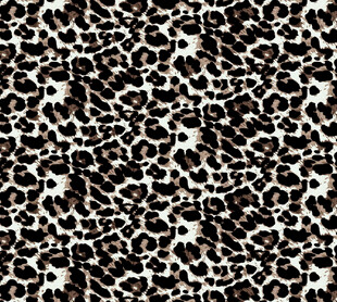 豹纹图案纹理