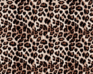 豹纹图案纹理背景图