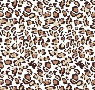 豹纹图案素材