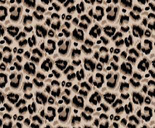 豹纹图案纹理背景