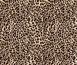 豹纹图案纹理背景图