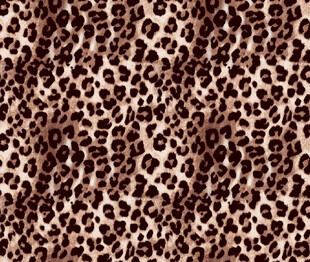 豹纹图案纹理背景