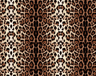 豹纹图案纹理背景图