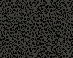 黑色豹纹纹理图案