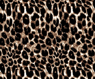 豹纹图案纹理背景