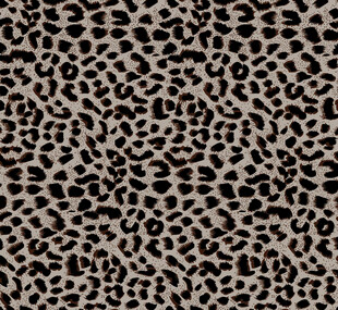 豹纹图案布料纹理