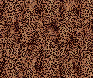 豹纹花纹图案