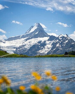 湖畔雪山与烂漫黄花