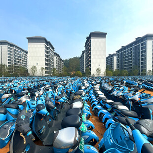 校园内大量电动车整齐停放