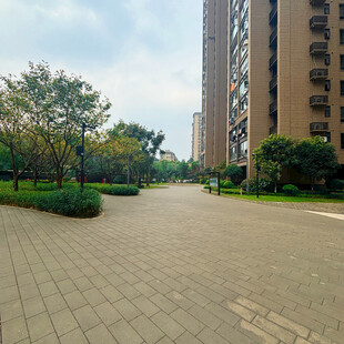 小区内宽敞整洁的道路