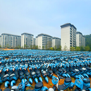 整齐排列的共享单车场景