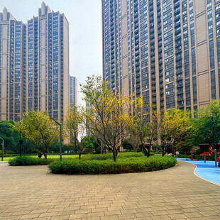 城市小区内的绿化景观