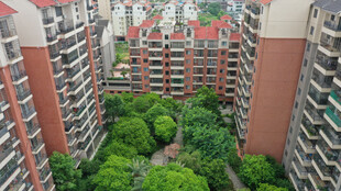 高层间的绿意小区景观