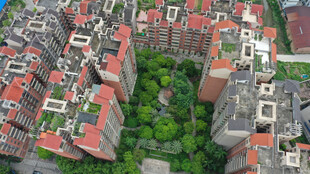 俯瞰城市中的绿色居民区