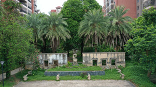 庭院绿植环绕的静谧空间