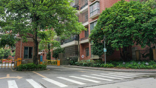 小区内的宁静道路景观