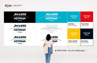 喜德盛LOGO标准及颜色