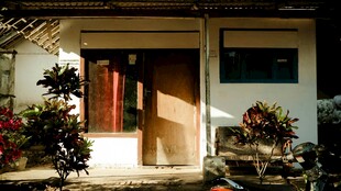 温馨小屋门前的自然景致