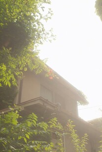 绿荫环绕的小屋