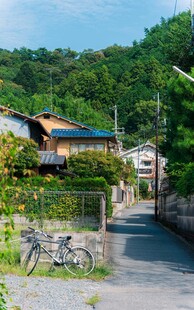 宁静乡村小道与民居