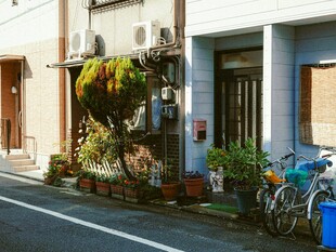 日式街道边的宁静民居