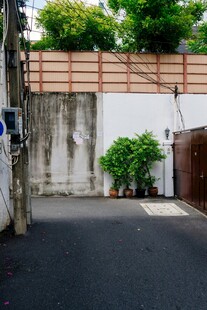 幽静小院角落景致