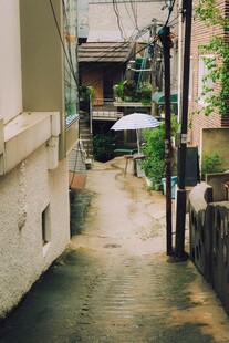 雨后静谧小巷一角