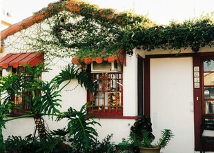 绿植环绕的温馨小屋