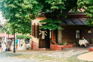 古朴小屋旁的惬意场景