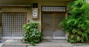 日式庭院门前绿植景致