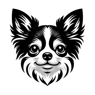 可爱吉娃娃头像