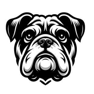 斗牛犬头像图案设计