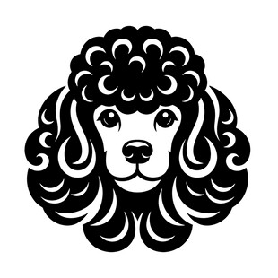 贵宾犬头部黑白简约图案