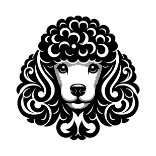 黑白贵宾犬装饰性艺术头像