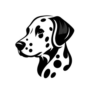 斑点狗黑白头像