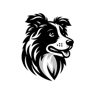 黑白边牧头像设计