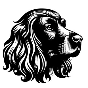 长卷毛猎犬黑白插画头像