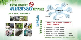 登革热预防场所症状宣传栏