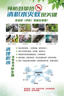 登革热预防场所症状展板