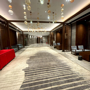 豪华宽敞的室内走廊空间