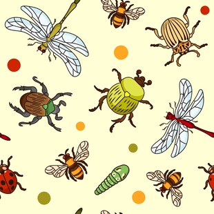 多彩昆虫图案背景