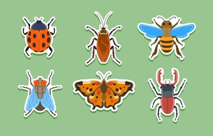 多彩昆虫贴纸集合