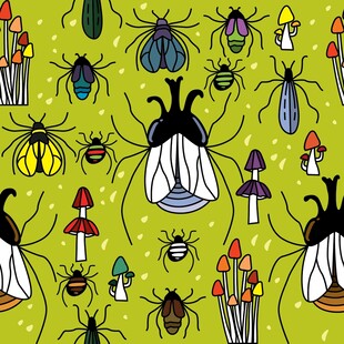 昆虫与蘑菇的奇幻插画世界