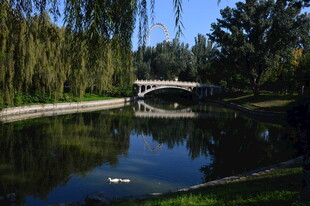 公园风景  